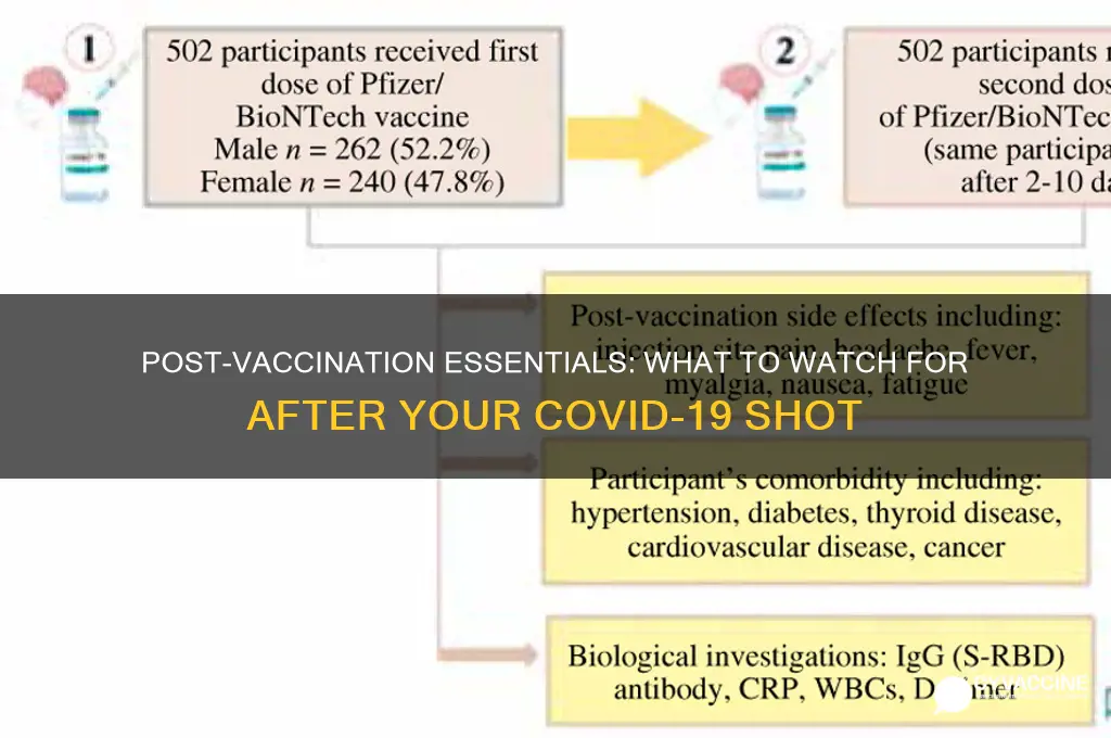 what do i have to watch after i had vaccination
