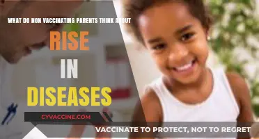 Rising Diseases: Non-Vaccinating Parents' Perspectives and Concerns Explored