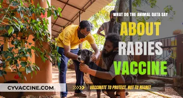 Rabies Vaccine Efficacy: Insights from Animal Studies and Data