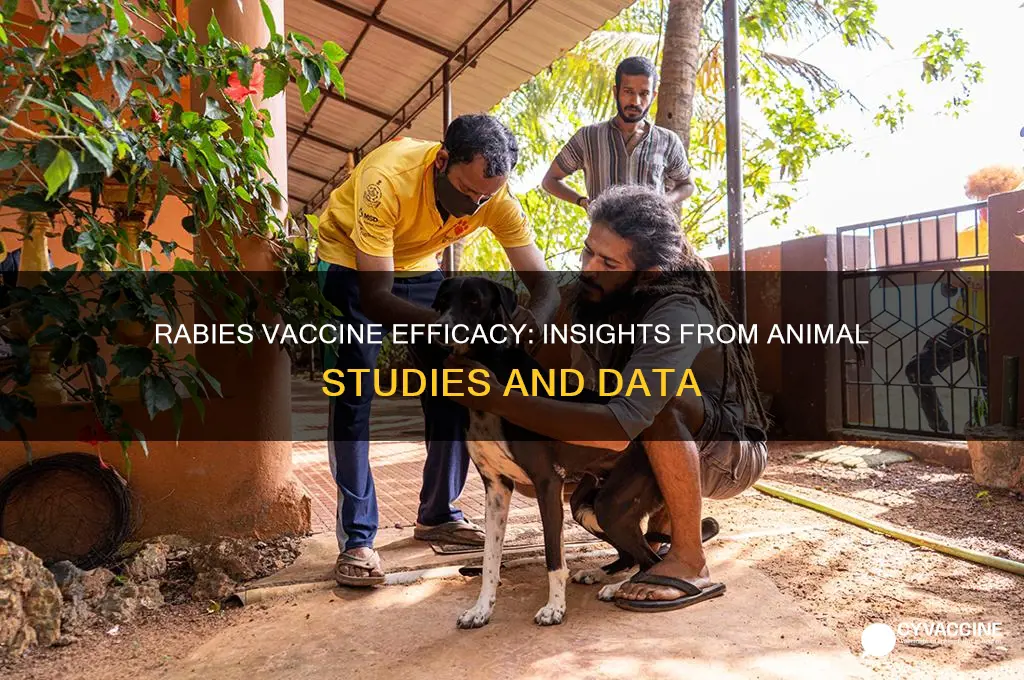 what do the animal data say about rabies vaccine