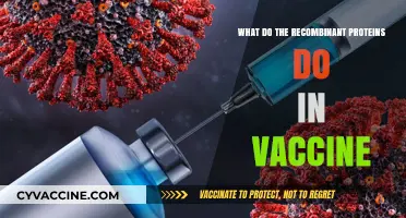 How Recombinant Proteins Enhance Vaccine Efficacy and Safety
