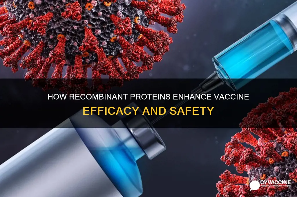 what do the recombinant proteins do in vaccine