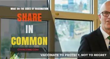Vaccination Divide: Shared Concerns, Goals, and Misconceptions Explored