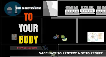 How Vaccines Work: Understanding Their Impact on Your Body's Immunity