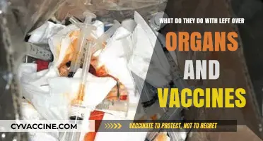 Leftover Organs and Vaccines: Uncovering the Surprising Uses and Disposal Methods