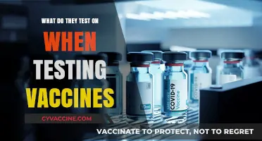 Vaccine Testing: What Substances and Methods Ensure Safety and Efficacy?