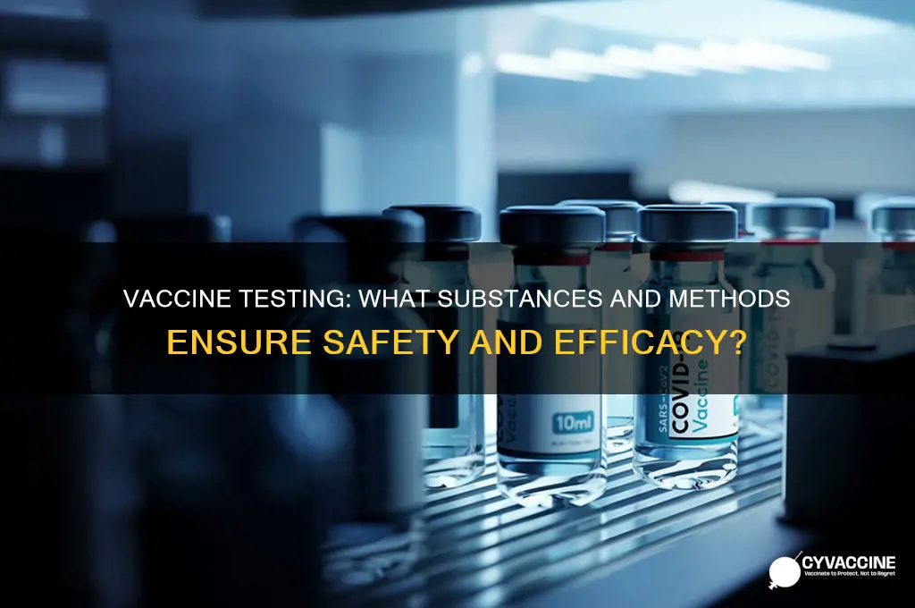 what do they test on when testing vaccines