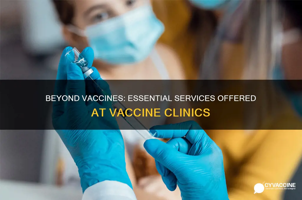 what do vaccine clinics do besides provide vaccines
