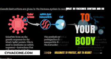 Vaccine Ingredients Explained: How They Safely Protect Your Body