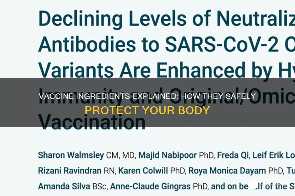 what do vaccines contain and do to your body
