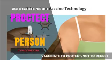 How Vaccines Rely on Immune Response to Safeguard Individuals