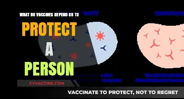 How Vaccines Utilize Immune Systems to Safeguard Against Diseases