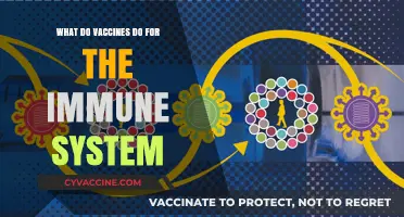 How Vaccines Strengthen Immune Systems: A Comprehensive Guide
