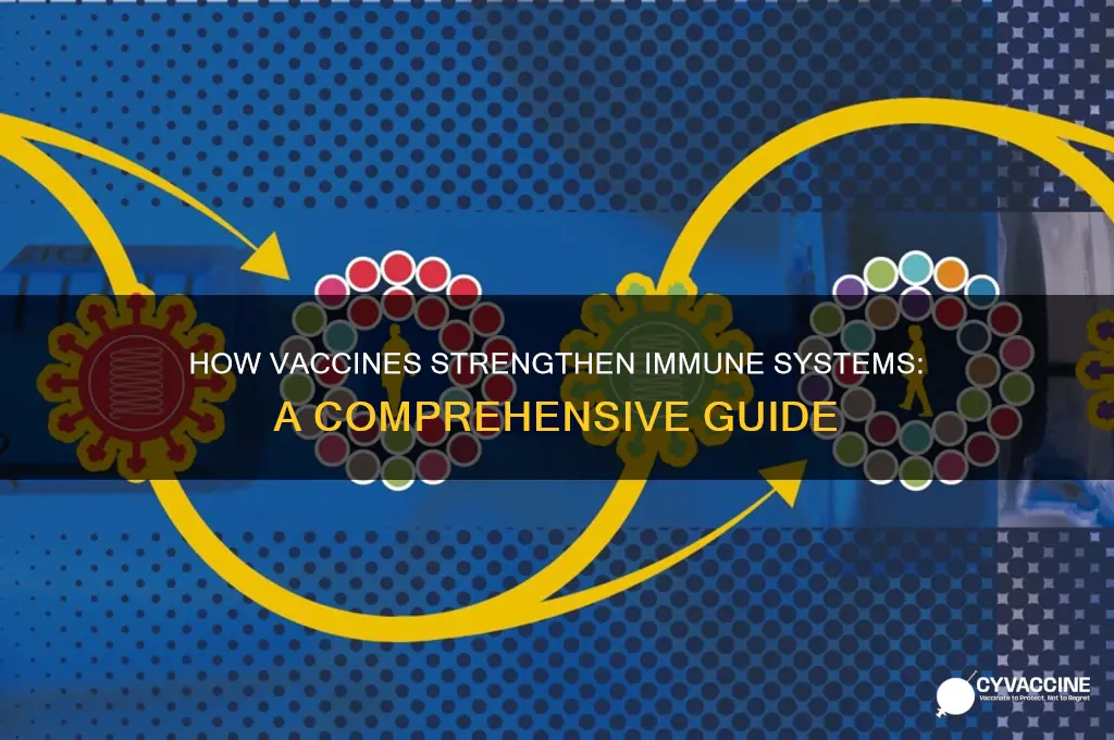 what do vaccines do for the immune system