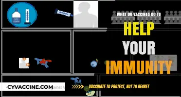 How Vaccines Strengthen Your Immune System: A Comprehensive Guide