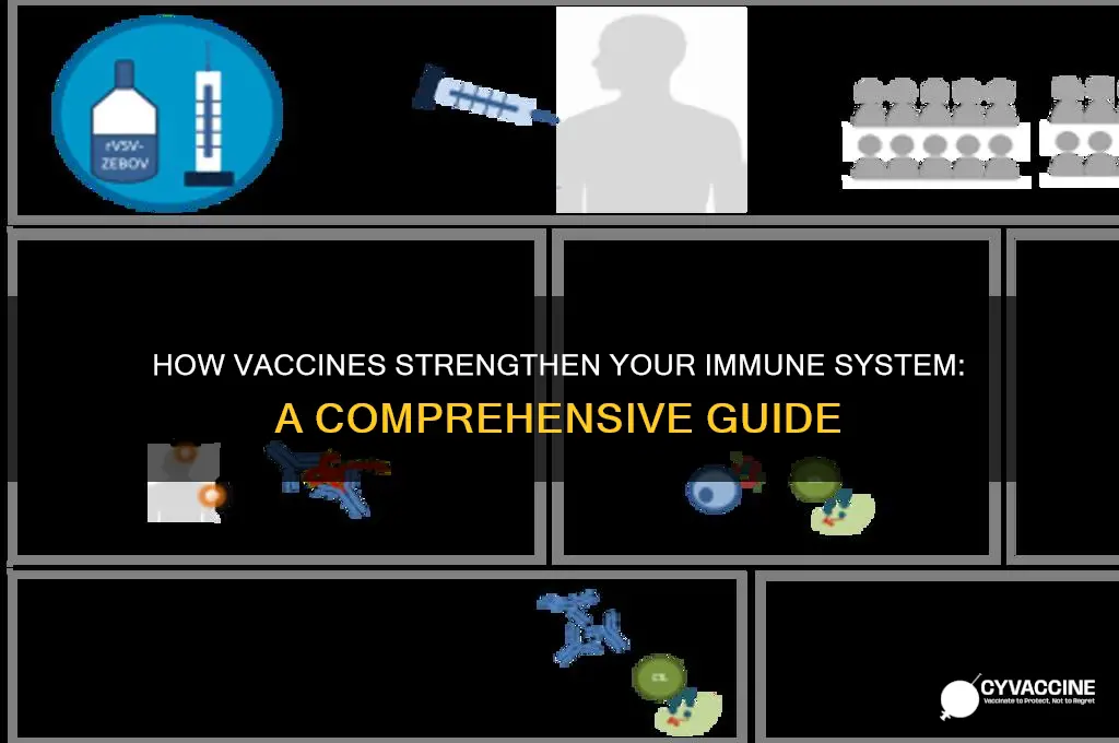 what do vaccines do to help your immunity