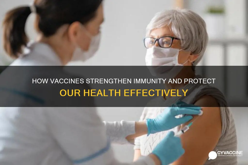 what do vaccines do to keep us healthy
