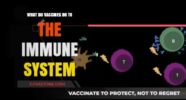 Vaccines: Immune System Superpowers Explained