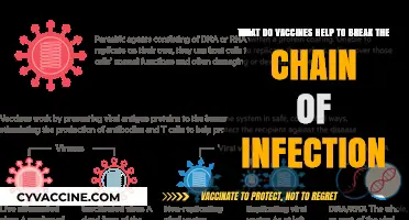 Vaccines: How They Disrupt and Prevent the Spread of Infections