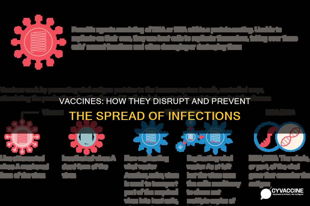 what do vaccines help to break the chain of infection