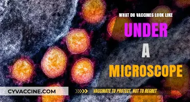Microscopic Marvels: Visualizing Vaccines Under the Microscope