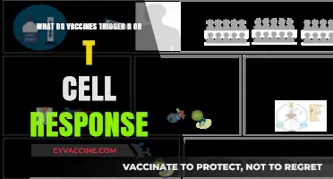 Vaccines: Unlocking B and T Cell Responses for Immune Protection
