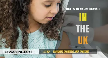 UK Vaccination Guide: Diseases We Protect Against in Britain