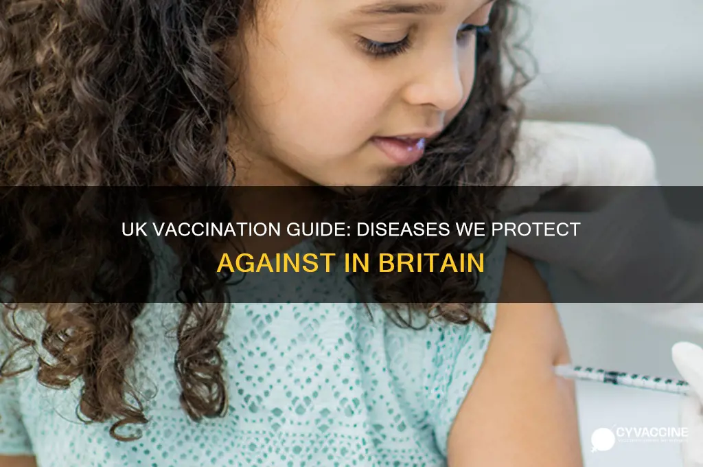 what do we vaccinate against in the uk
