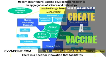 Creating a Vaccine: Essential Steps from Research to Distribution