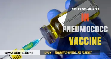 Assessing Key Factors for Pneumococcal Vaccine: A Comprehensive Guide