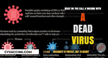 Understanding Dead Virus Vaccines: What Are They Called and How Do They Work?