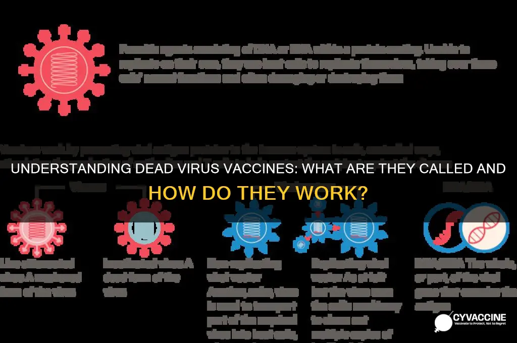 what do you call a vaccine with a dead virus