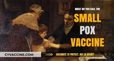 The Forgotten Name: Unveiling the Smallpox Vaccine's Historical Title