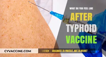 Post-Typhoid Vaccine: Understanding Common Side Effects and Recovery