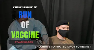 Understanding the Dry Run of Vaccine: A Comprehensive Guide