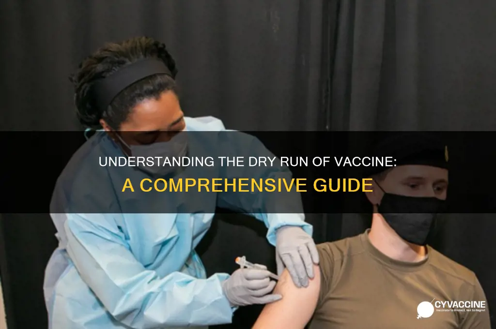 what do you mean by dry run of vaccine