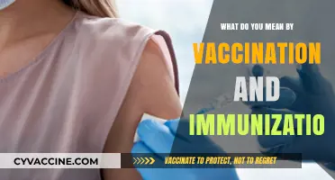 Understanding Vaccination and Immunization: Key Concepts for Public Health