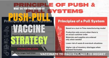 Understanding the Push-Pull Vaccine Strategy: A Comprehensive Overview