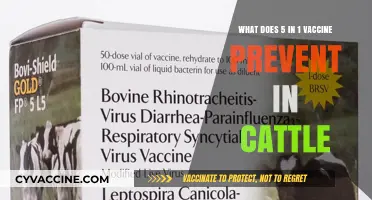 Essential Cattle Protection: Diseases Prevented by the 5-in-1 Vaccine