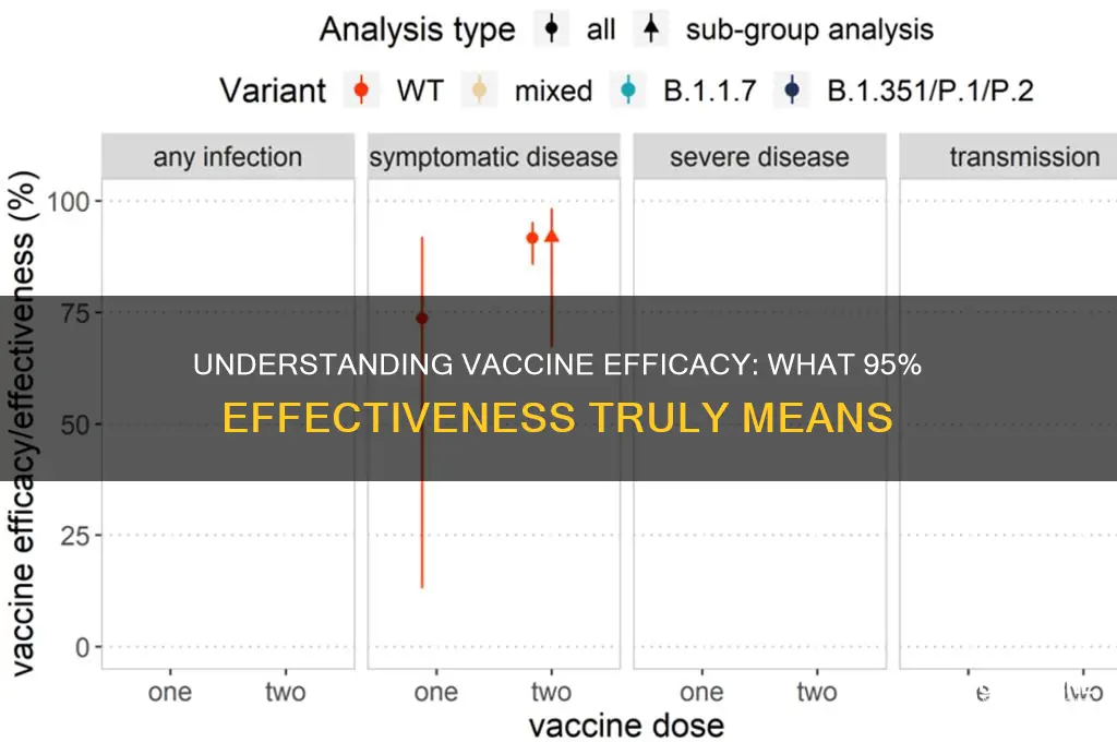 what does 95 efficacy mean for a vaccine