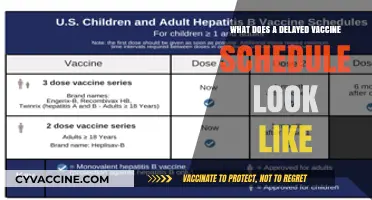A Different Path: Vaccines on a Delayed Schedule