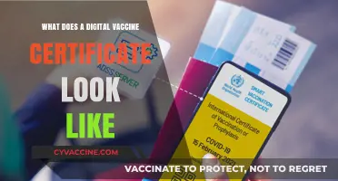 Understanding the Design and Features of Digital Vaccine Certificates