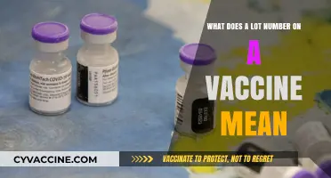 Understanding Vaccine Lot Numbers: What They Mean and Why They Matter