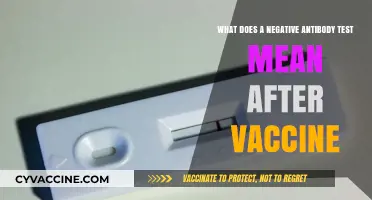 Negative Antibody Test Post-Vaccination: What It Means and Why
