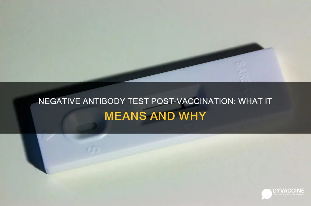 what does a negative antibody test mean after vaccine