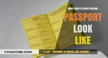 Understanding the Design and Features of a Paper Vaccine Passport