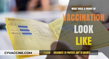 Understanding Proof of Vaccination: Formats, Features, and Verification Methods