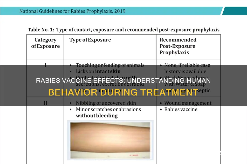 what does a rabid human do during a rabies vaccine