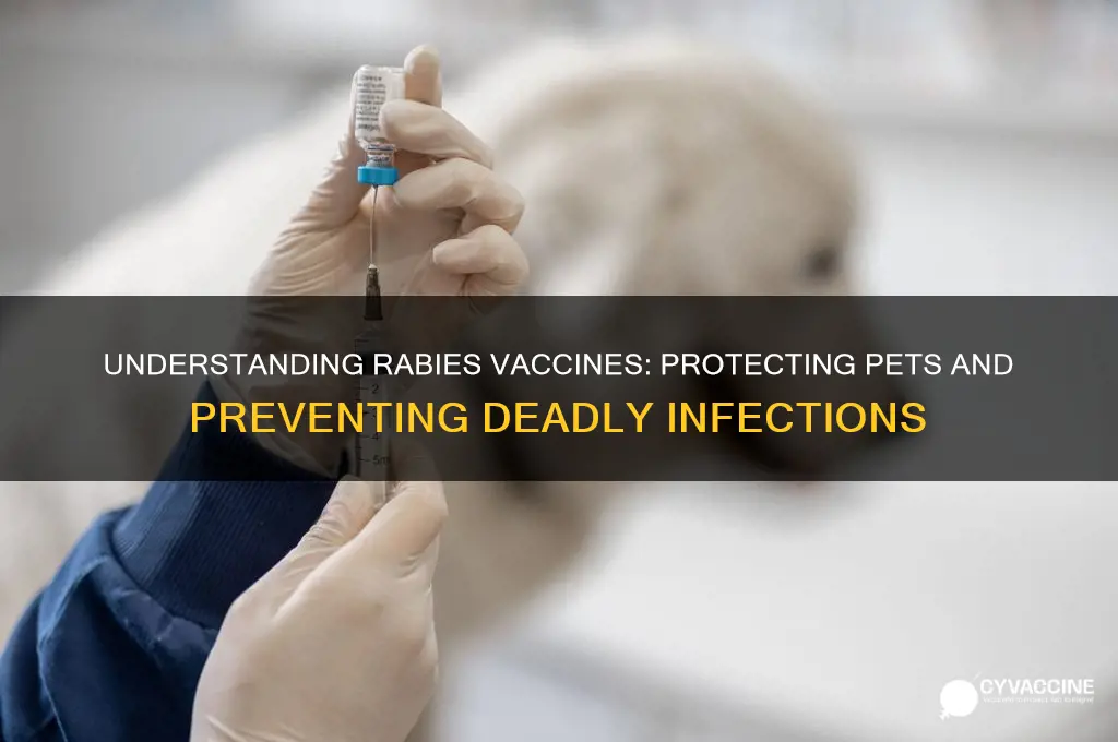 what does a rabies vaccine for animals do