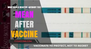 Understanding Reactive Antibody Test Results Post-Vaccination: What It Means
